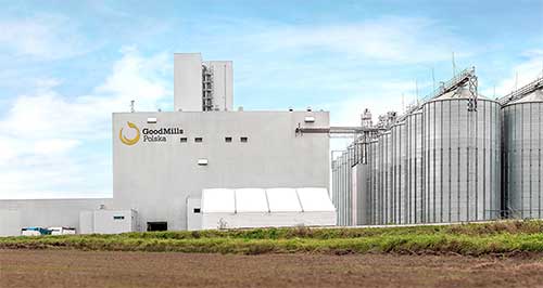 Flour production: process, evolution and perspectives