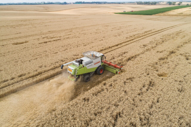 A summary: 2025 European wheat harvest 