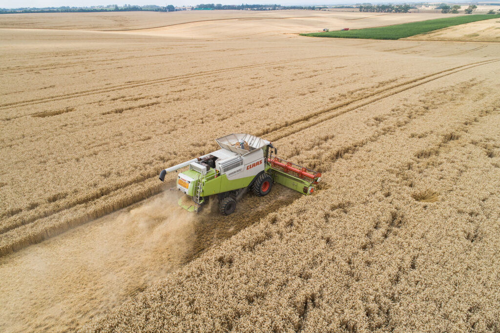 A summary: 2025 European wheat harvest 