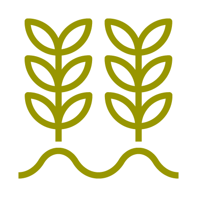 Plant-based