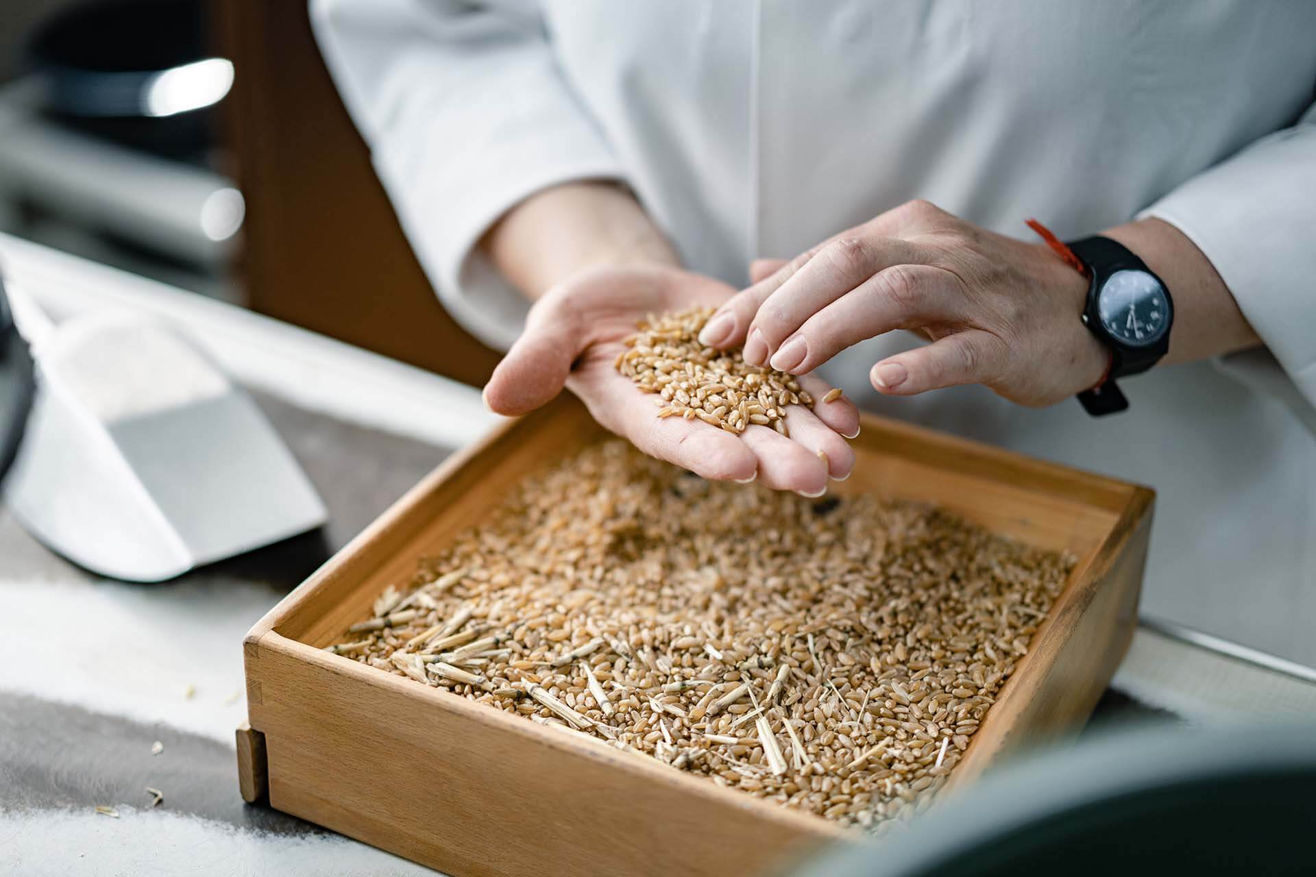 Mill Expertise Quality